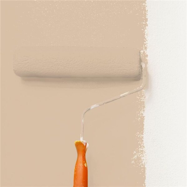 Wandfarbe Matt NCS-S-2010-Y40R WALLCOVER Colors