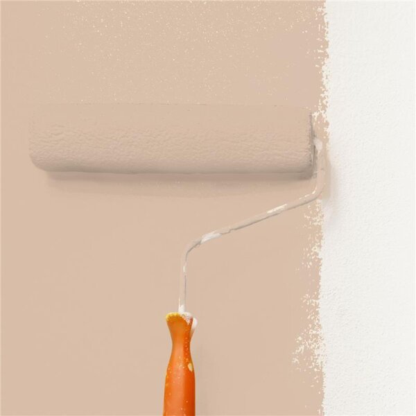 Wandfarbe Matt NCS-S-2010-Y50R WALLCOVER Colors