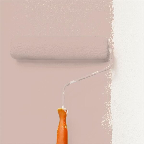 Wandfarbe Matt NCS-S-2010-Y80R WALLCOVER Colors