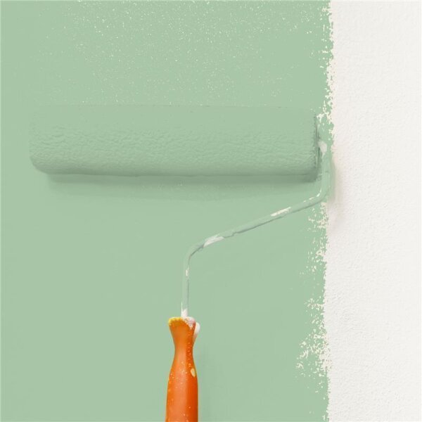 Wandfarbe Matt NCS-S-2020-G20Y WALLCOVER Colors