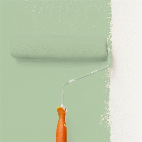 Wandfarbe Matt NCS-S-2020-G30Y WALLCOVER Colors