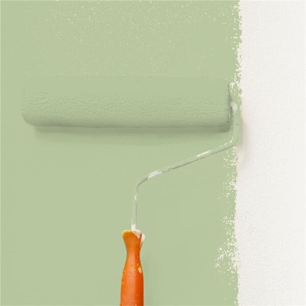 Wandfarbe Matt NCS-S-2020-G40Y WALLCOVER Colors