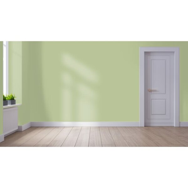 Wandfarbe Matt NCS-S-2020-G50Y WALLCOVER Colors