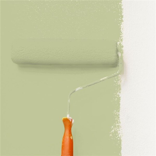 Wandfarbe Matt NCS-S-2020-G60Y WALLCOVER Colors