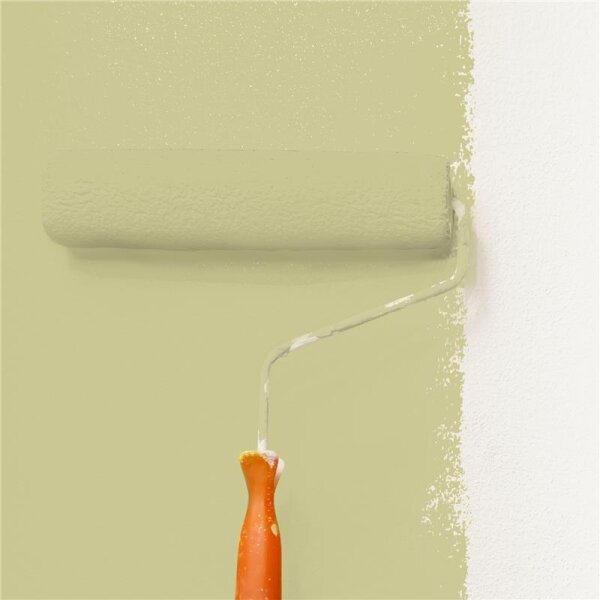 Wandfarbe Matt NCS-S-2020-G80Y WALLCOVER Colors
