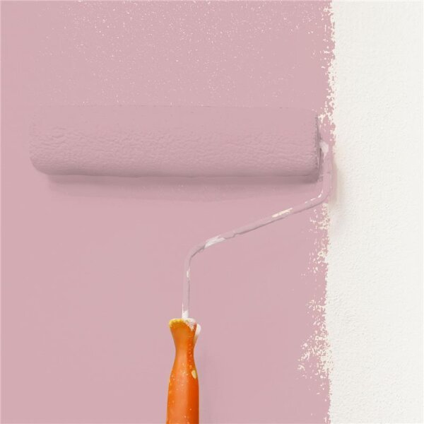 Wandfarbe Matt NCS-S-2020-R10B WALLCOVER Colors