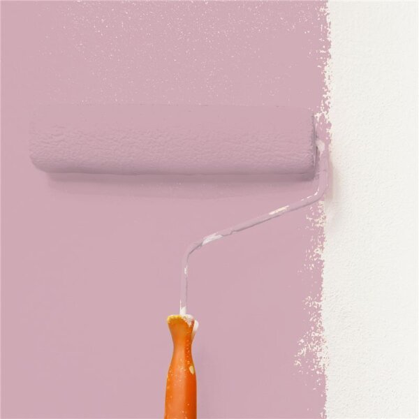 Wandfarbe Matt NCS-S-2020-R20B WALLCOVER Colors