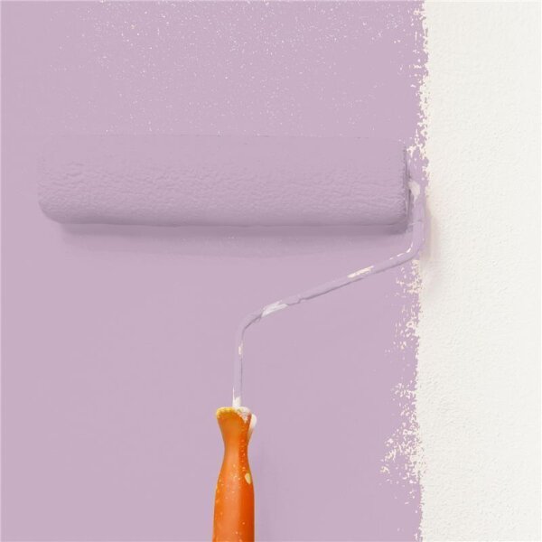 Wandfarbe Matt NCS-S-2020-R40B WALLCOVER Colors