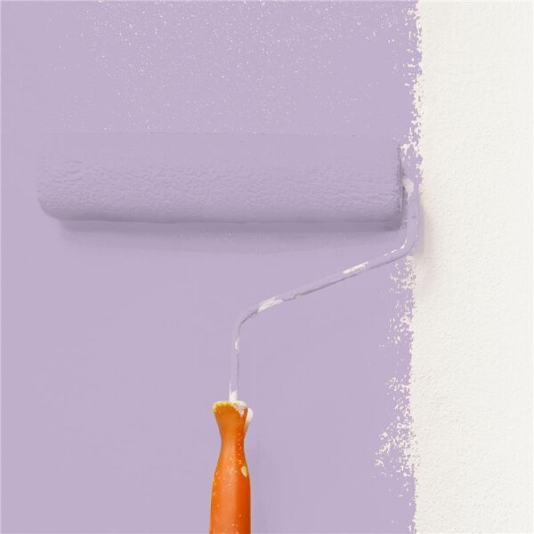 Wandfarbe Matt NCS-S-2020-R50B WALLCOVER Colors