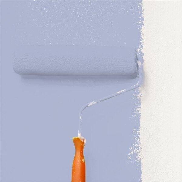 Wandfarbe Matt NCS-S-2020-R70B WALLCOVER Colors