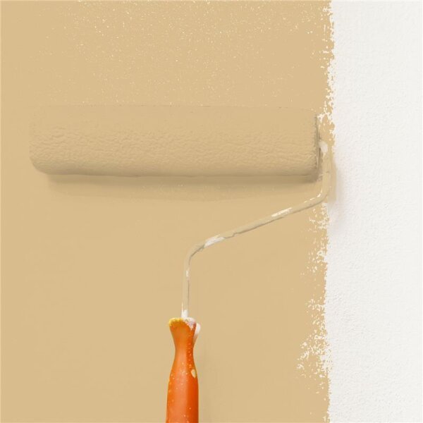 Wandfarbe Matt NCS-S-2020-Y20R WALLCOVER Colors
