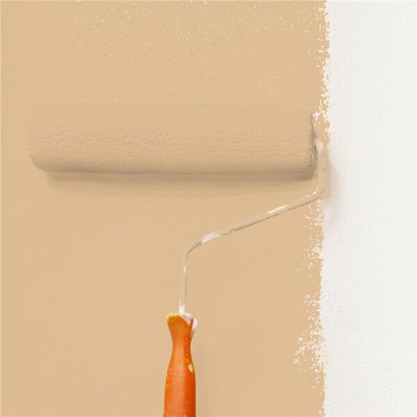 Wandfarbe Matt NCS-S-2020-Y30R WALLCOVER Colors