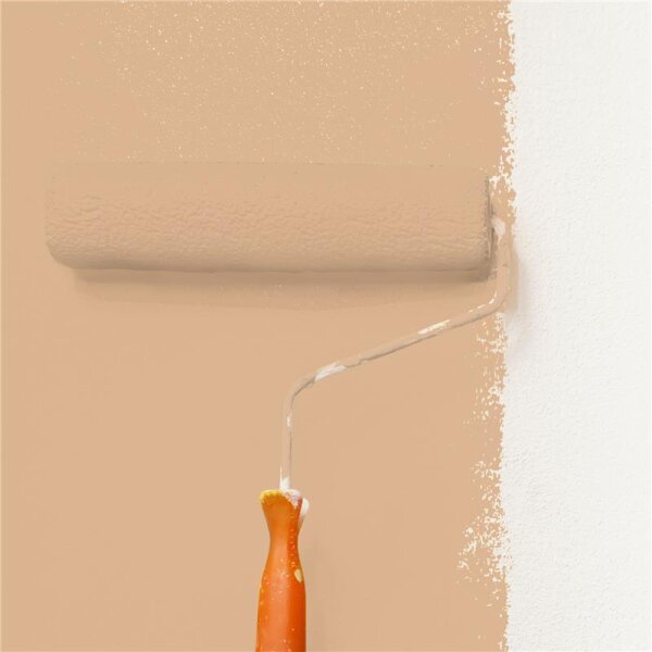 Wandfarbe Matt NCS-S-2020-Y40R WALLCOVER Colors