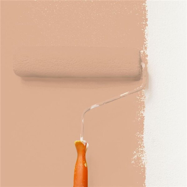 Wandfarbe Matt NCS-S-2020-Y50R WALLCOVER Colors