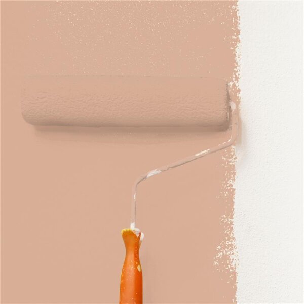 Wandfarbe Matt NCS-S-2020-Y60R WALLCOVER Colors
