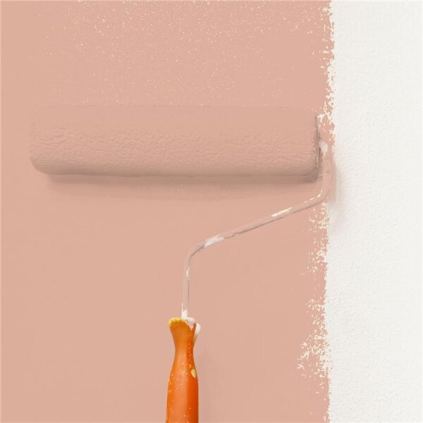 Wandfarbe Matt NCS-S-2020-Y70R WALLCOVER Colors