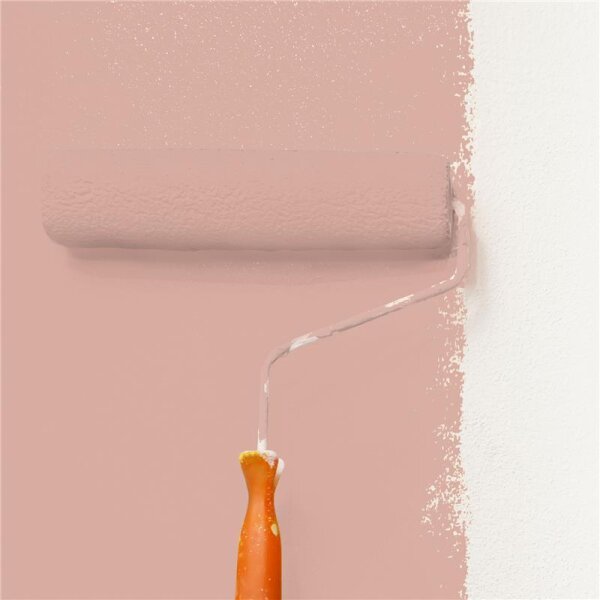 Wandfarbe Matt NCS-S-2020-Y80R WALLCOVER Colors