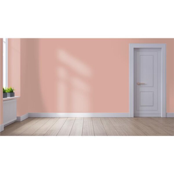 Wandfarbe Matt NCS-S-2020-Y80R WALLCOVER Colors