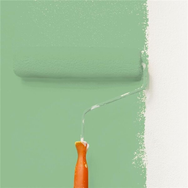 Wandfarbe Matt NCS-S-2030-G20Y WALLCOVER Colors