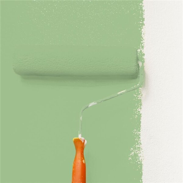 Wandfarbe Matt NCS-S-2030-G30Y WALLCOVER Colors