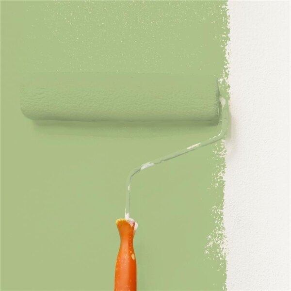 Wandfarbe Matt NCS-S-2030-G40Y WALLCOVER Colors