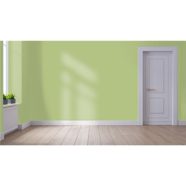 Wandfarbe Matt NCS-S-2030-G50Y WALLCOVER Colors