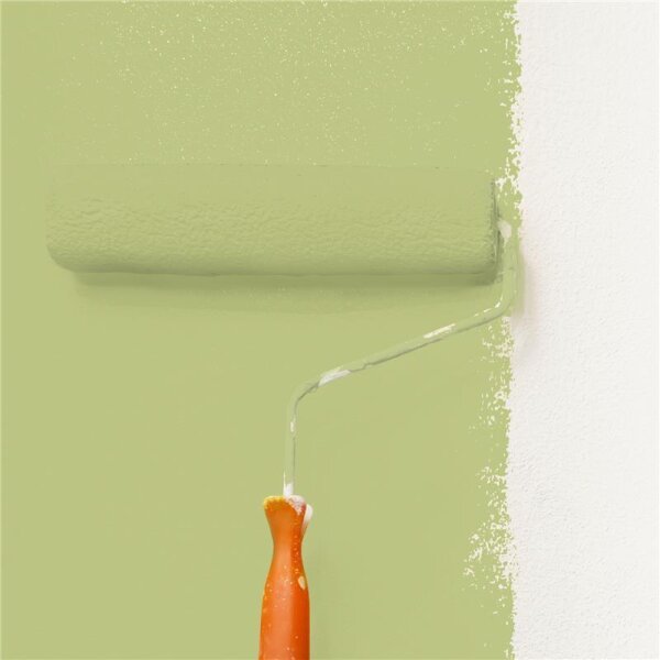 Wandfarbe Matt NCS-S-2030-G60Y WALLCOVER Colors