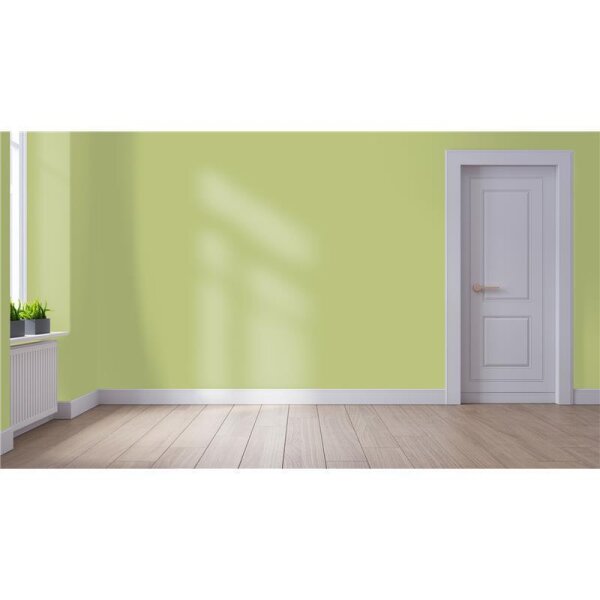 Wandfarbe Matt NCS-S-2030-G60Y WALLCOVER Colors