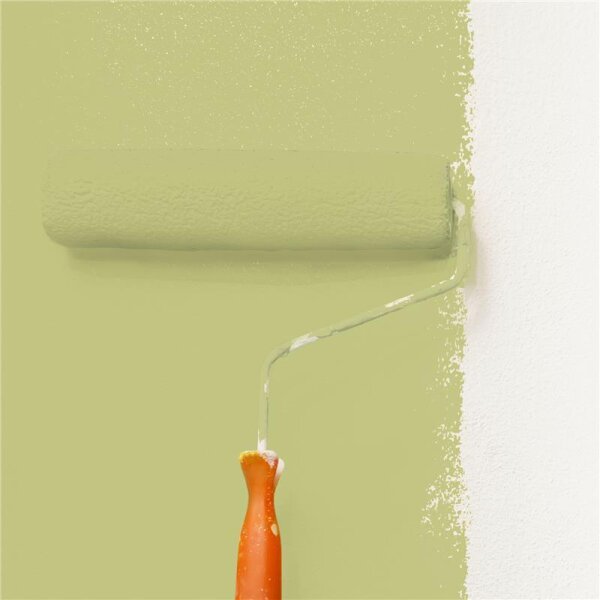 Wandfarbe Matt NCS-S-2030-G70Y WALLCOVER Colors