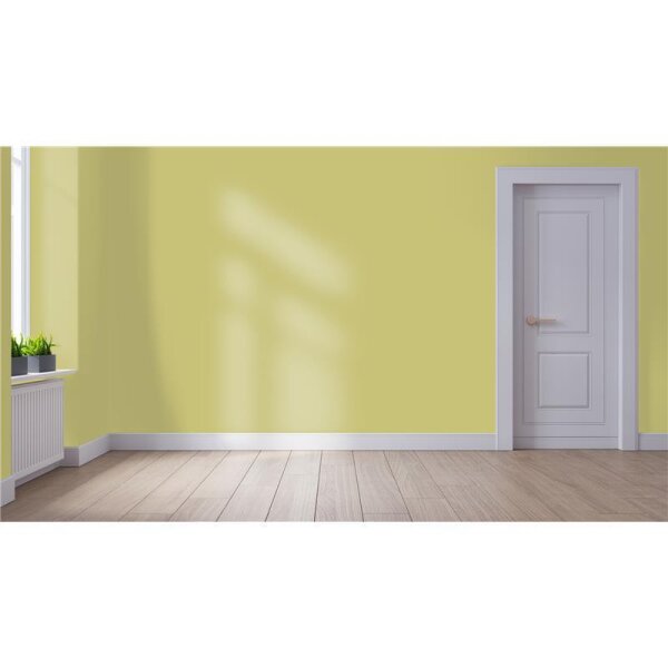 Wandfarbe Matt NCS-S-2030-G80Y WALLCOVER Colors