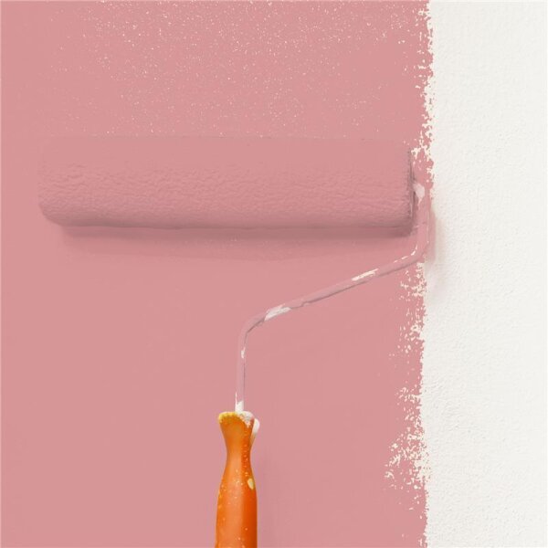 Wandfarbe Matt NCS-S-2030-R WALLCOVER Colors
