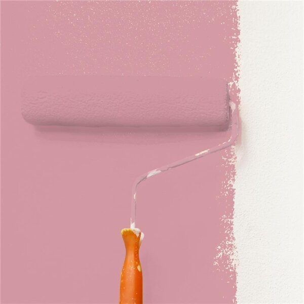Wandfarbe Matt NCS-S-2030-R10B WALLCOVER Colors