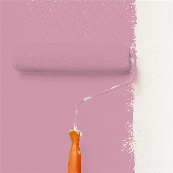 Wandfarbe Matt NCS-S-2030-R20B WALLCOVER Colors