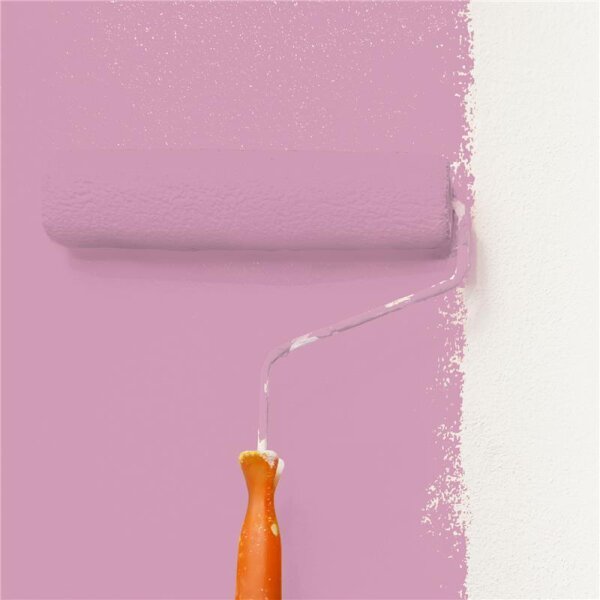 Wandfarbe Matt NCS-S-2030-R30B WALLCOVER Colors