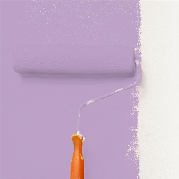 Wandfarbe Matt NCS-S-2030-R50B WALLCOVER Colors