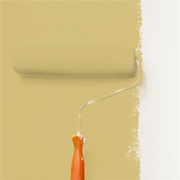 Wandfarbe Matt NCS-S-2030-Y WALLCOVER Colors