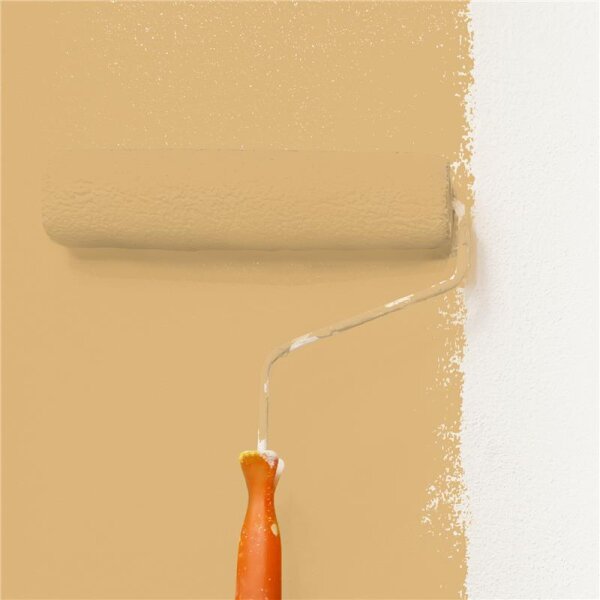 Wandfarbe Matt NCS-S-2030-Y20R WALLCOVER Colors