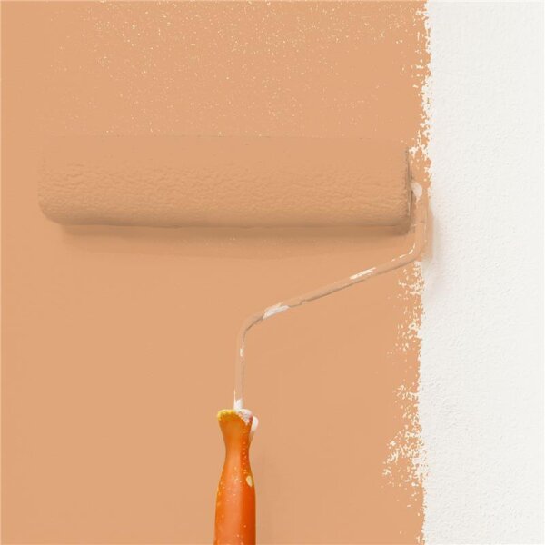 Wandfarbe Matt NCS-S-2030-Y40R WALLCOVER Colors
