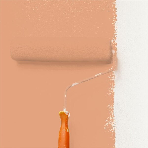Wandfarbe Matt NCS-S-2030-Y50R WALLCOVER Colors
