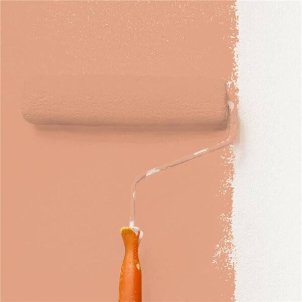 Wandfarbe Matt NCS-S-2030-Y60R WALLCOVER Colors