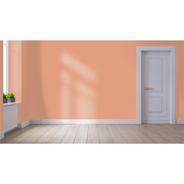 Wandfarbe Matt NCS-S-2030-Y60R WALLCOVER Colors