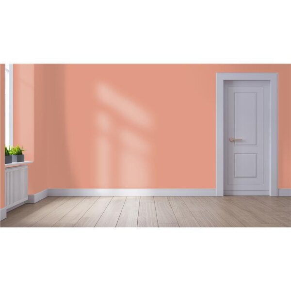Wandfarbe Matt NCS-S-2030-Y70R WALLCOVER Colors