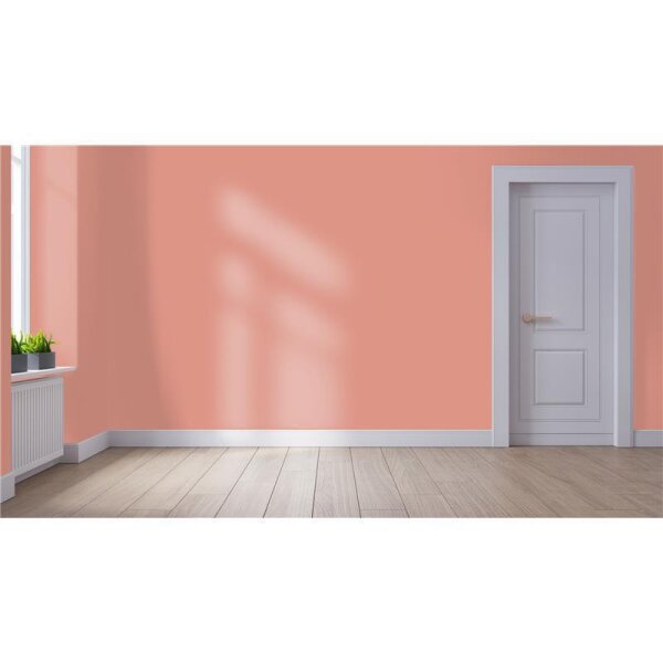 Wandfarbe Matt NCS-S-2030-Y80R WALLCOVER Colors
