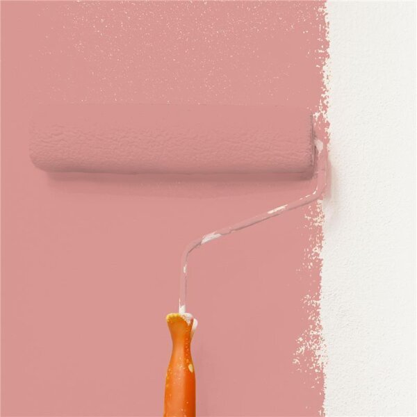 Wandfarbe Matt NCS-S-2030-Y90R WALLCOVER Colors