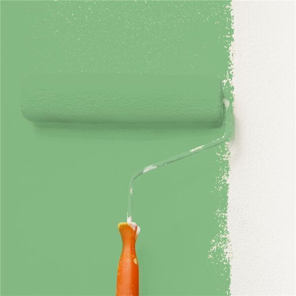 Wandfarbe Matt NCS-S-2040-G20Y WALLCOVER Colors
