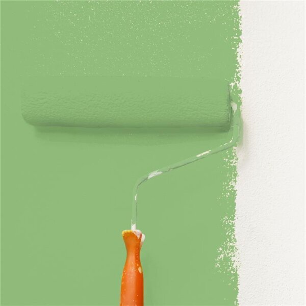 Wandfarbe Matt NCS-S-2040-G30Y WALLCOVER Colors