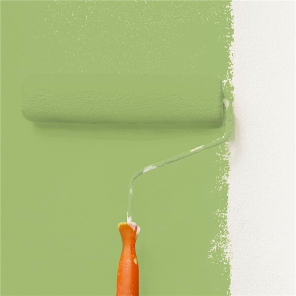 Wandfarbe Matt NCS-S-2040-G40Y WALLCOVER Colors