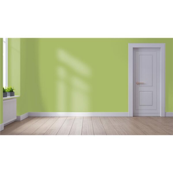 Wandfarbe Matt NCS-S-2040-G50Y WALLCOVER Colors