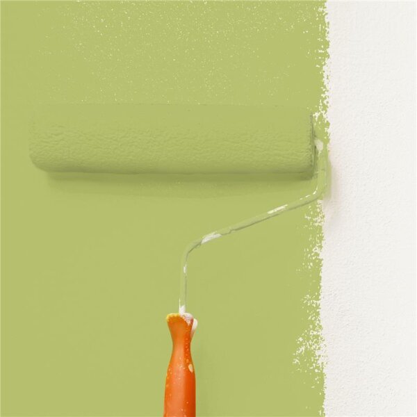 Wandfarbe Matt NCS-S-2040-G60Y WALLCOVER Colors