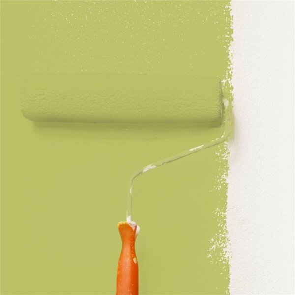 Wandfarbe Matt NCS-S-2040-G70Y WALLCOVER Colors